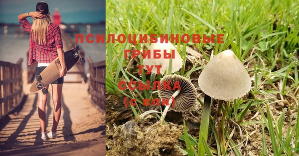 гашиш Верея