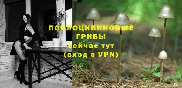 гашик Володарск