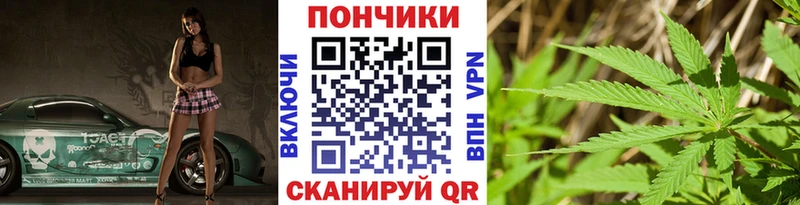 Канабис THC 21%  где можно купить наркотик  Майкоп 